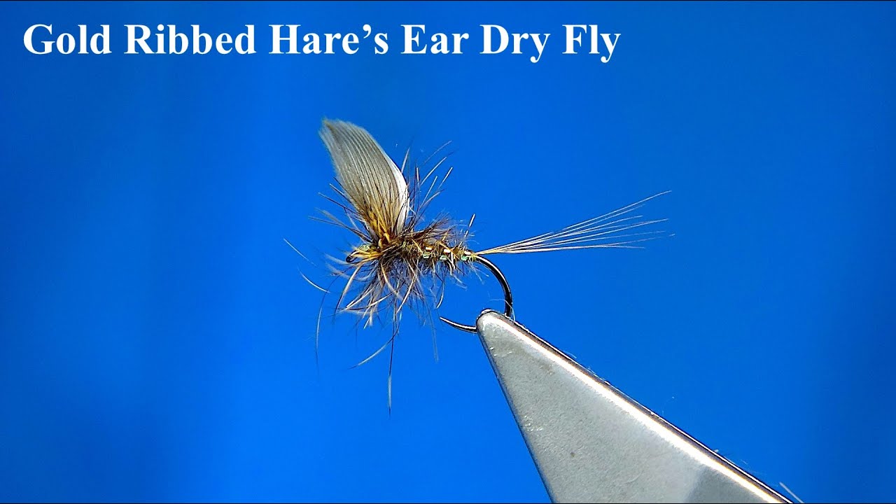 Tying a Gold Ribbed Hare's Ear Dry Fly with Davie McPhail