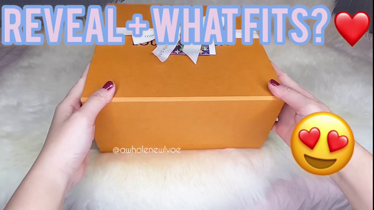 Louis Vuitton Reveal | Nano Noe | What Fits