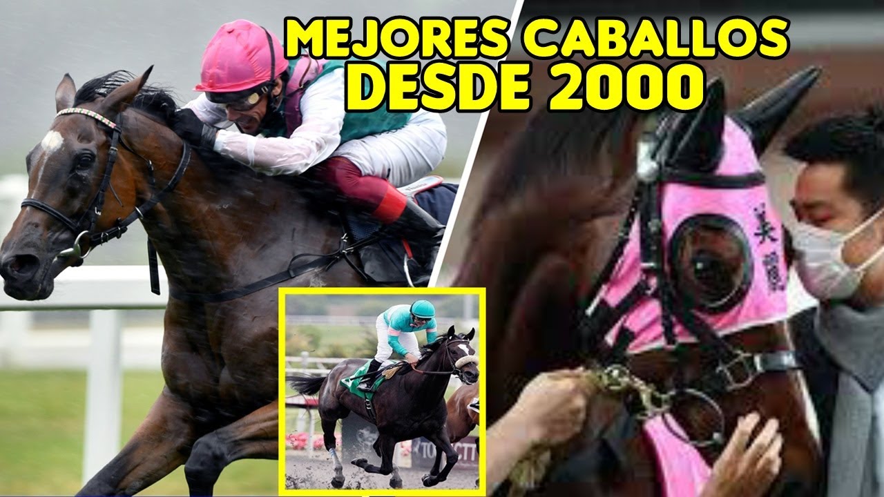 LOS 10 MEJORES CABALLOS DEL SIGLO XXI #caballos #horses #carreras