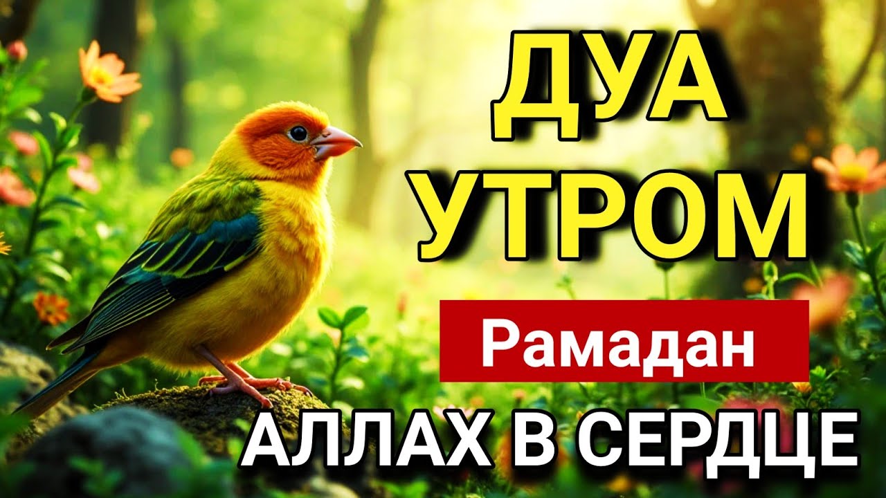 🌅 НАПОЛНИ УТРО СВЕТОМ РАМАДАНА 🤲✨💯