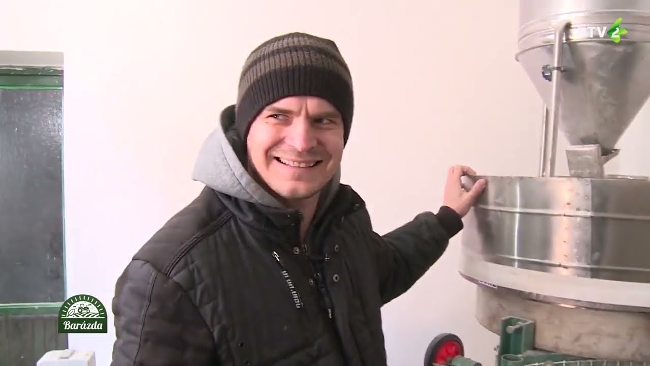 Teljes kiőrlésű lisztek előállítása Adán (Barázda)