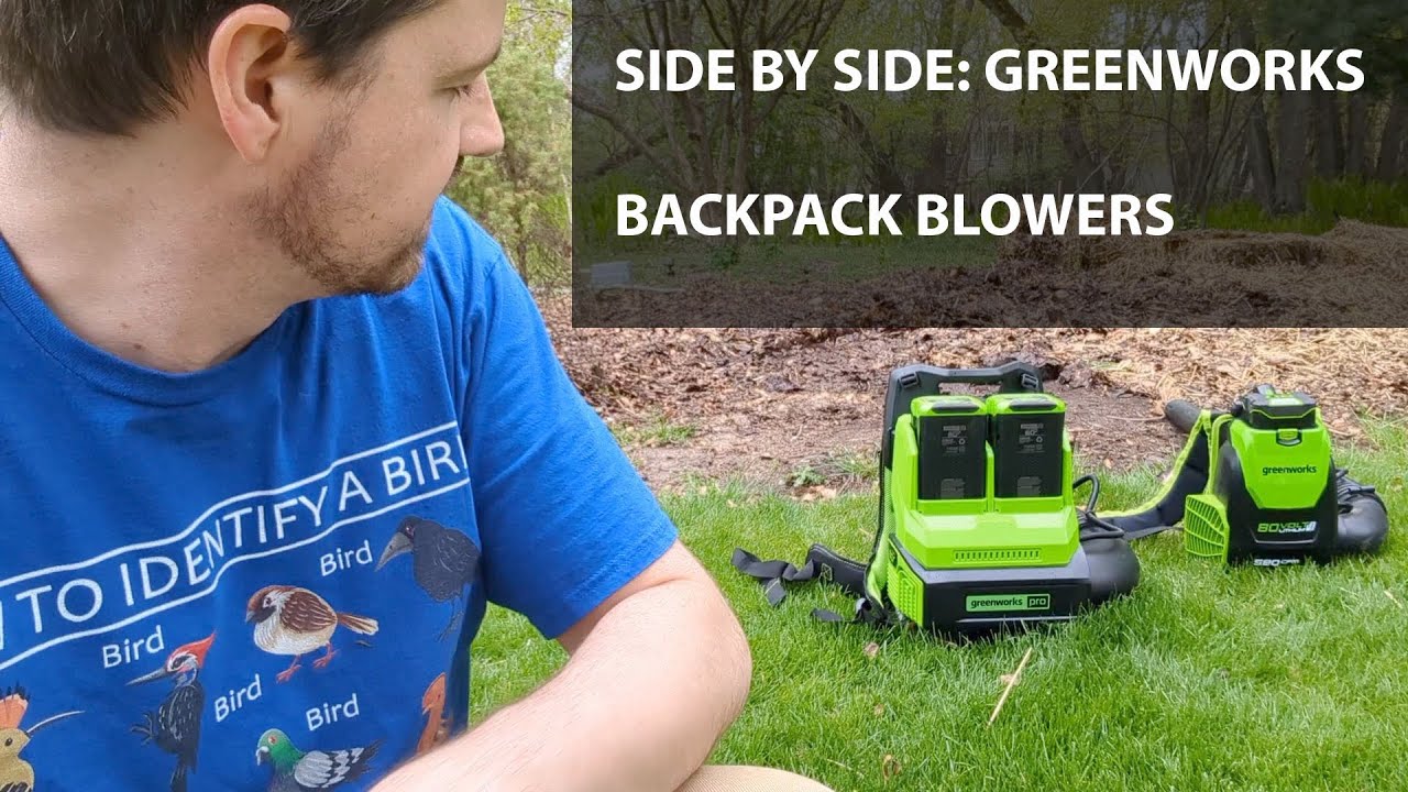 BACKPACK blowers: 60v Dual battery vs 80v Single (1st version)