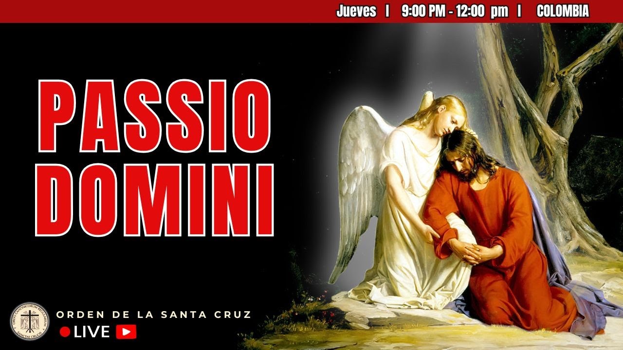Santa Misa | Passio DOMINI | 12/02/2026