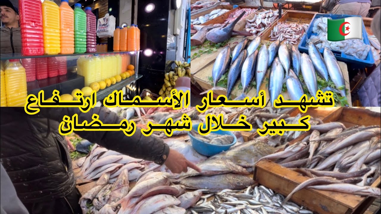 ‏أسعار الأسماك في رمضان بسوق الحمري وهران