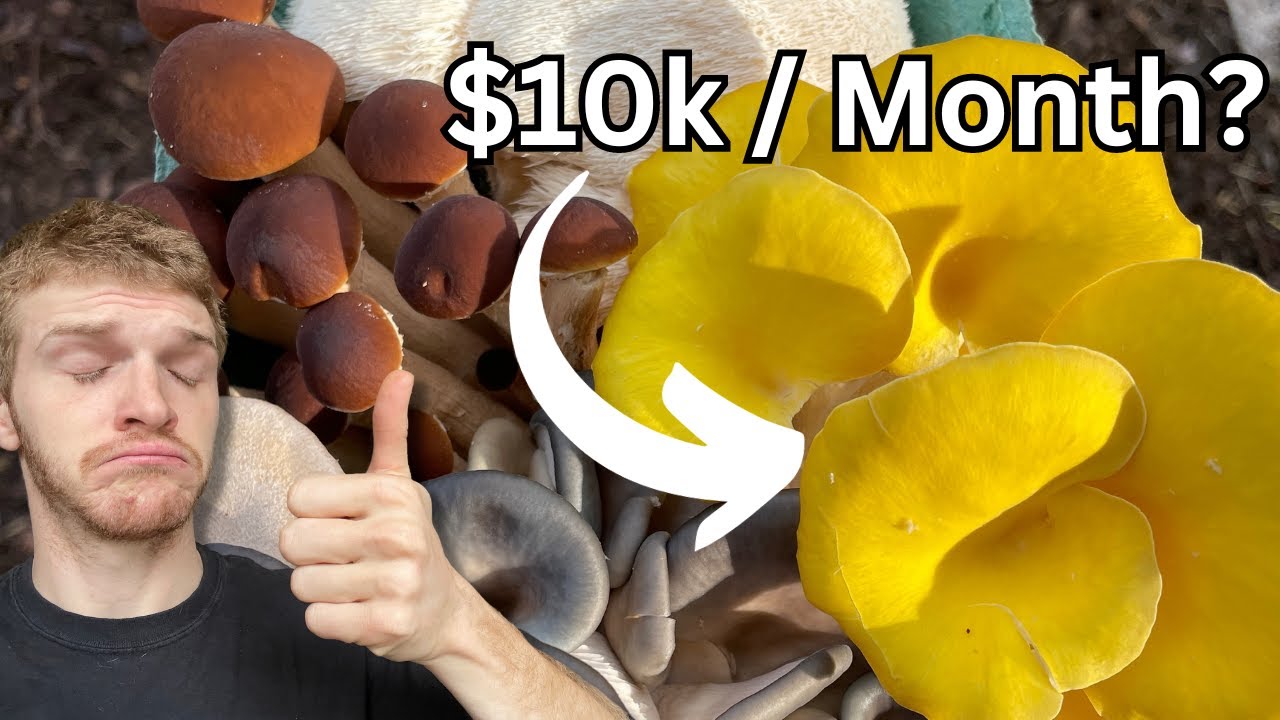 How To Get Wholesale Leads as a Gourmet Mushroom Farm