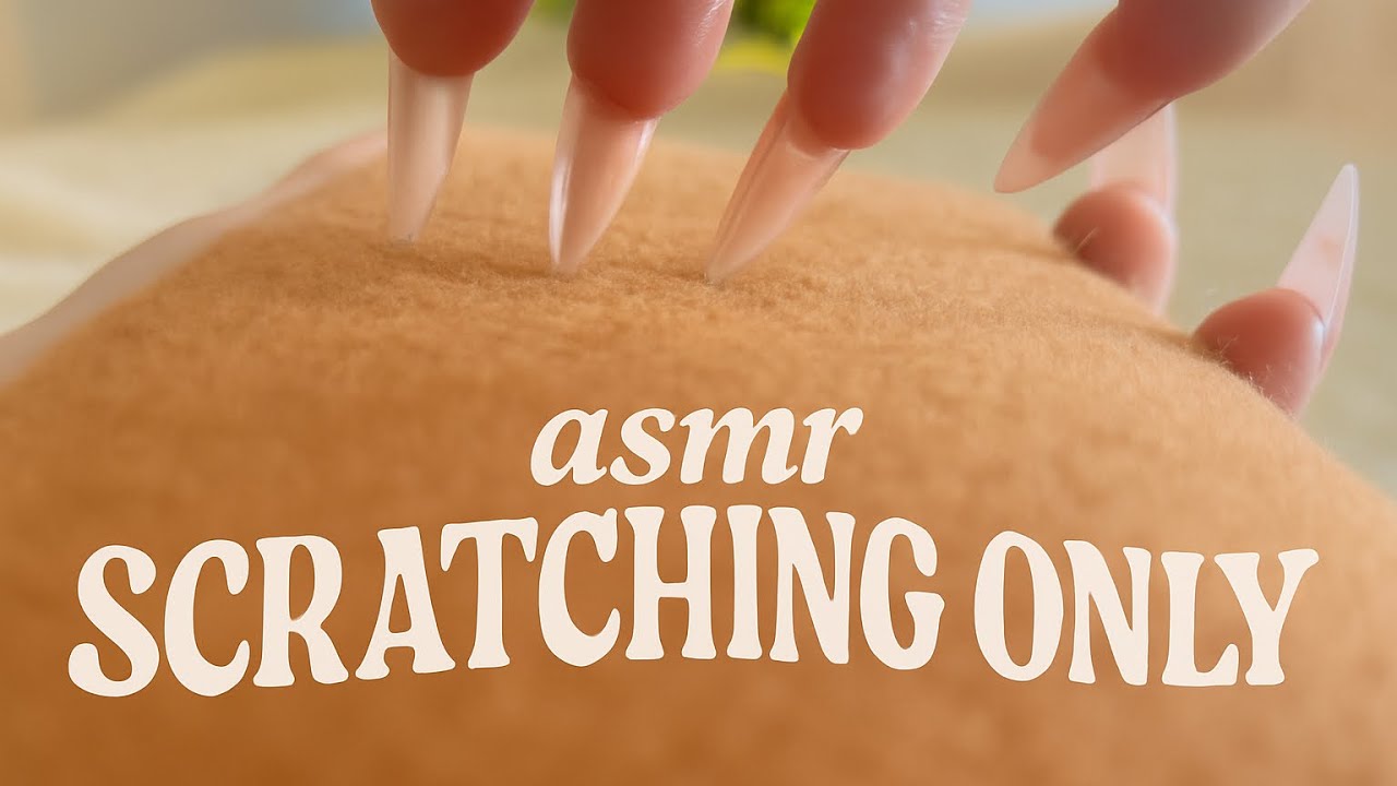 ASMR Scratching only ✨soft things, no tapping ✨