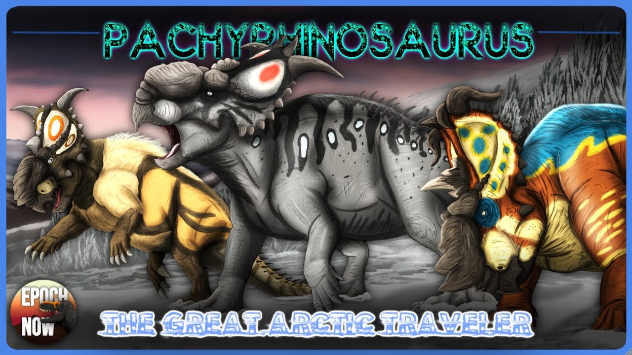 Pachyrhinosaurus: The Great Arctic Traveler