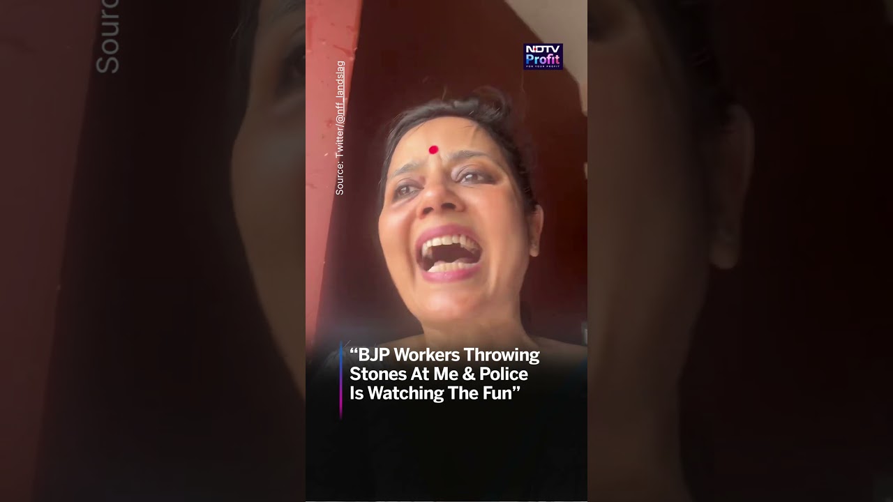 TMC MP Mahua Moitra Accuses BJP Workers of Throwing Stones & Eggs Towards Her  #viral #shorts