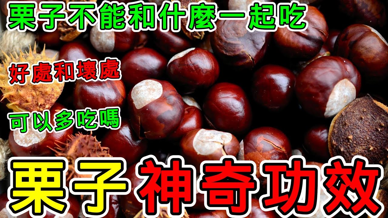 【養生】栗子的功效與副作用，栗子不能和什麼一起吃？栗子的好處和壞處？栗子可以多吃嗎？