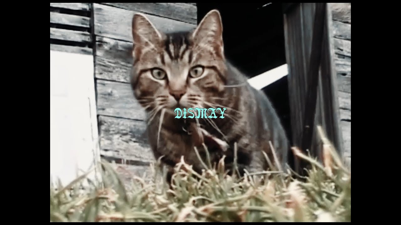 CHILL HARD SUICIDEBOYS TYPE BEAT // DISMAY