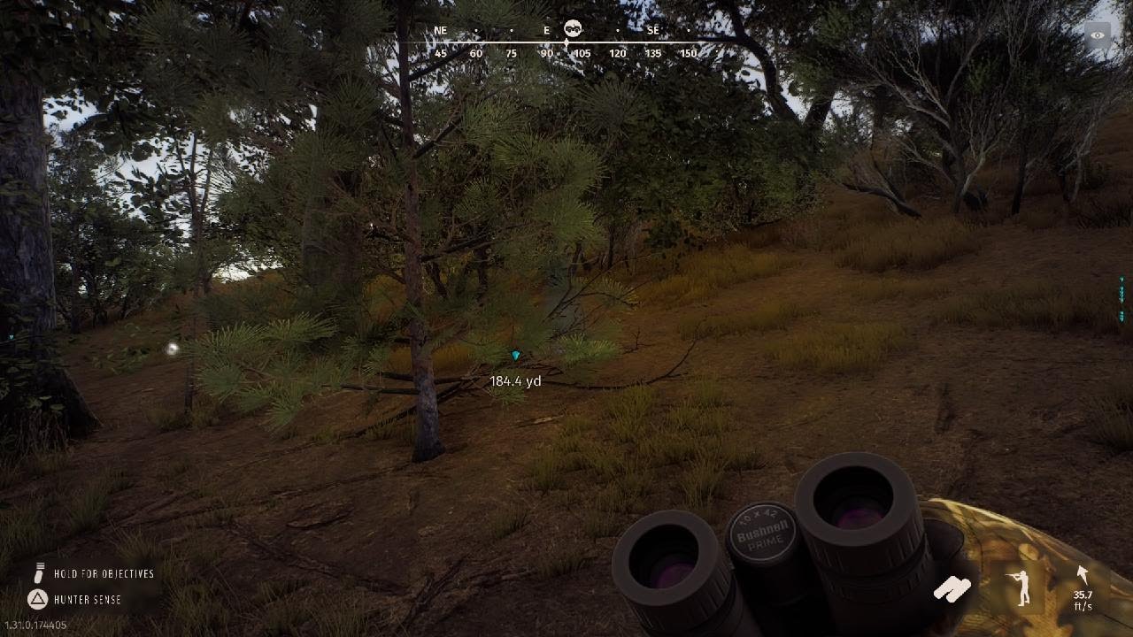 Way of the Hunter 5 STAR FERAL PIG!