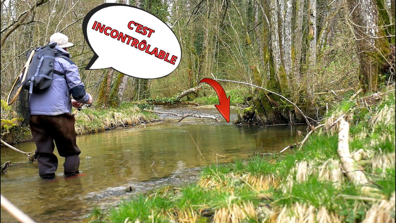 DES ATTAQUES SURRÉALISTES AUX VAIRONS MANIÉ GRÂCE à CETTE MINI MONTURE