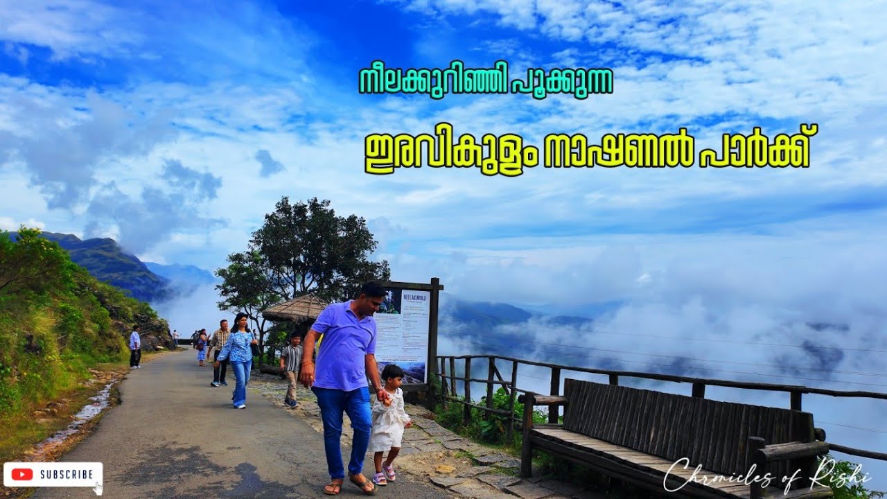 നീലക്കുറിഞ്ഞി പൂക്കുന്ന ഇരവികുളം നാഷണൽ പാർക്ക് | Eravikulam National Park Munnar#eravikulam#munnar
