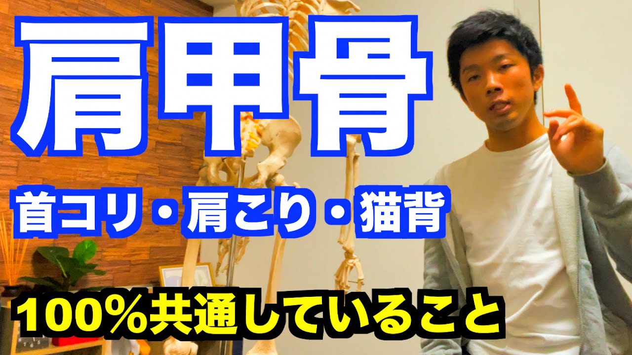 【ガンコな肩こり＆猫背の100％の共通点】「肩甲骨」の位置が悪いと「ガンコな肩こり」「猫背・巻き肩」に繋がる！２ステップで改善する肩甲骨トレーニング【愛媛県松山市　肩甲骨・肩コリ・首コリ】