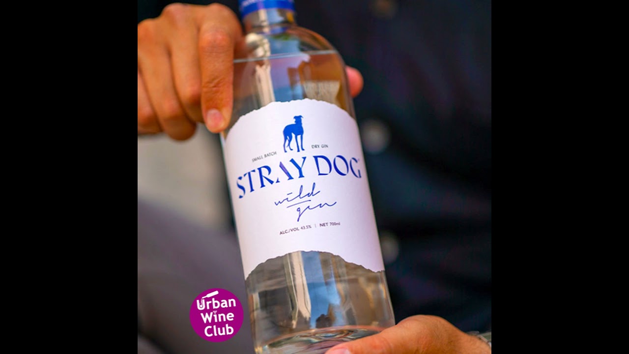 Johnny Livanos & Greece's First Wild Gin - Stray Dog