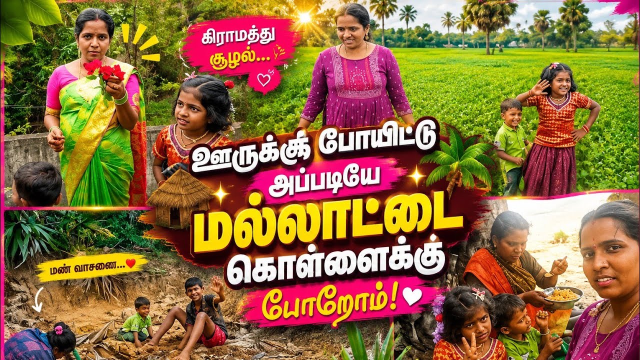 எங்க வீட்டு மல்லாட்டை கொல்லை பாக்கலாம் வாங்க🥰✨பனங்கிழங்கு புடுங்க போறோம்#vlog #lifestyle #nilalogith