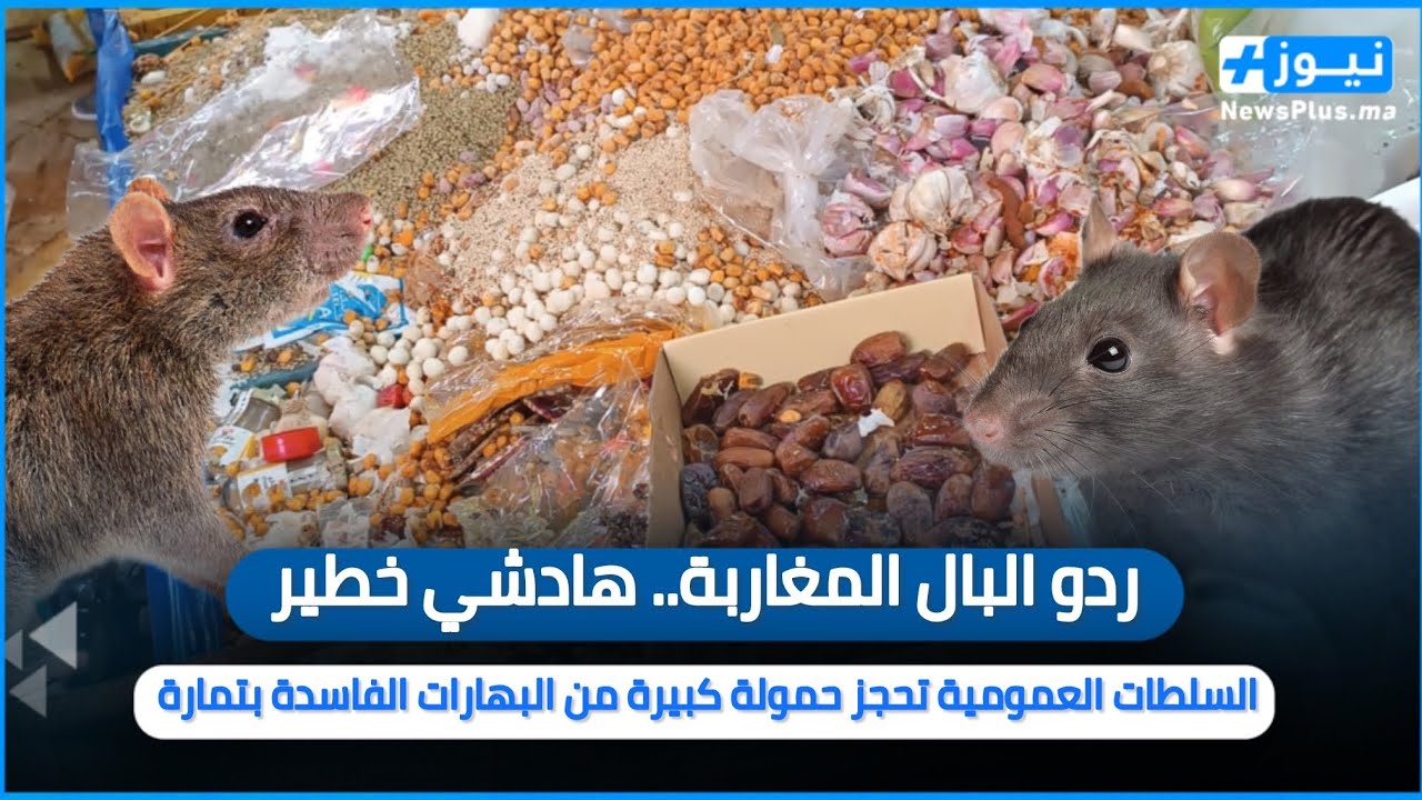 ردو البال المغاربة.. هادشي خطير السلطات العمومية تحجز حمولة كبيرة من البهارات الفاسدة بتمارة