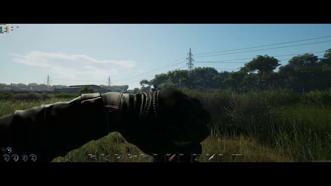 SCUM - 2 guns, 1 holster bug