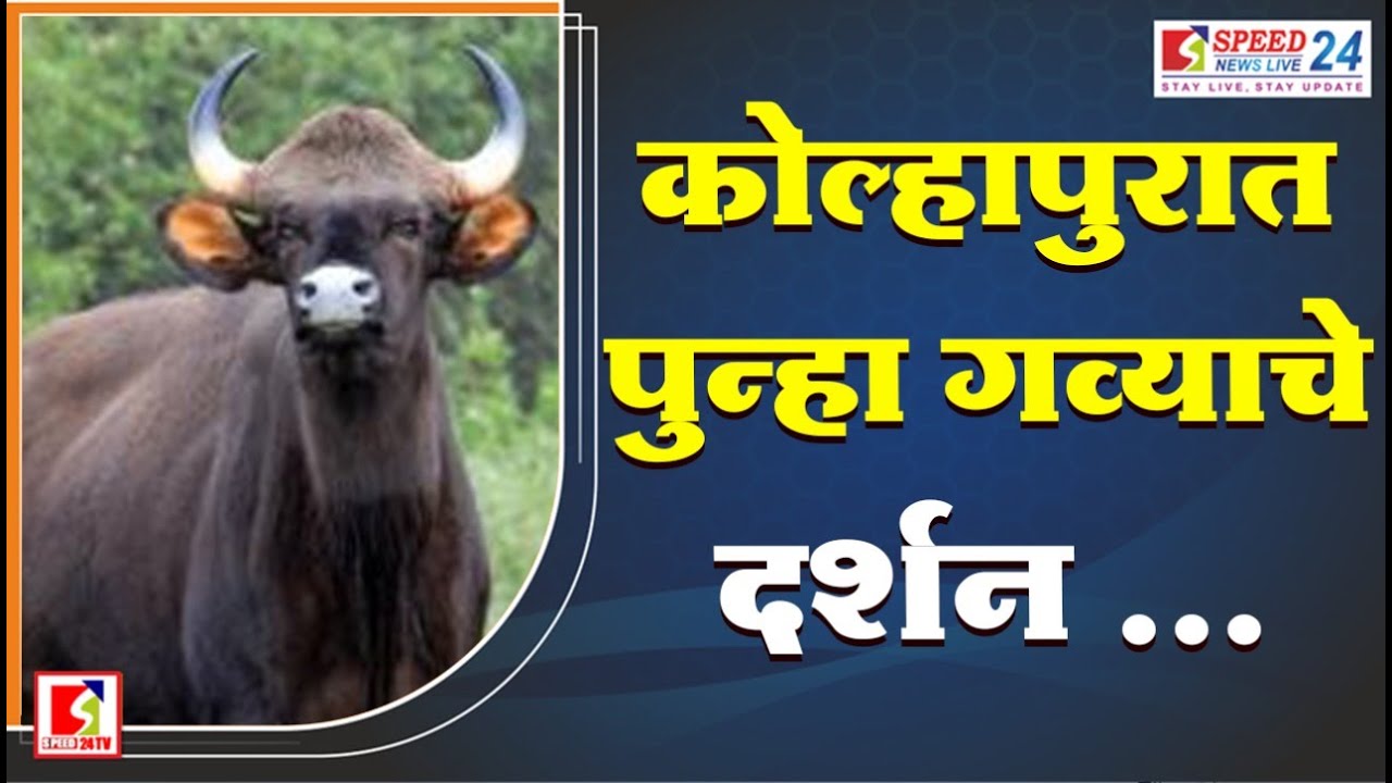 #animals #kolhapur #farmanimals #news #forest #forestdepartment #currentnews #updates #livenews