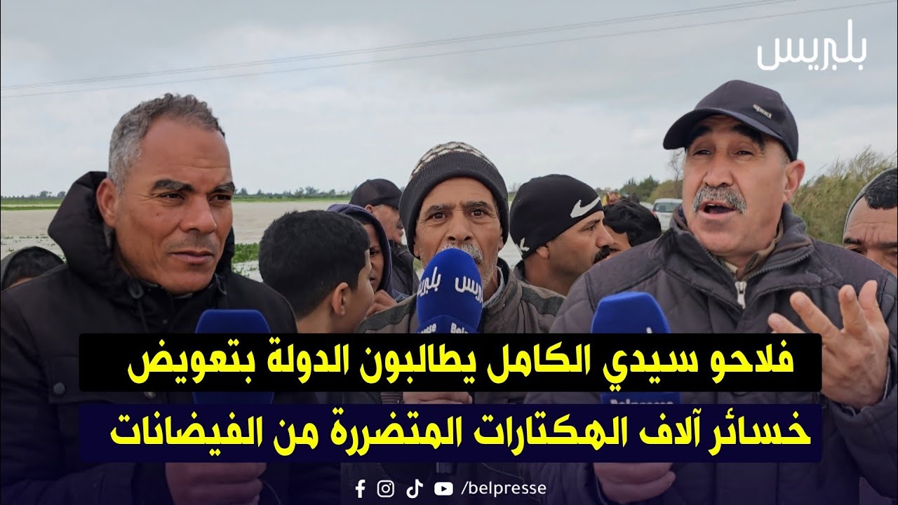 فلاحو سيدي الكامل يطالبون الدولة بتعويض خسائر آلاف الهكتارات المتضررة من الفيضانات