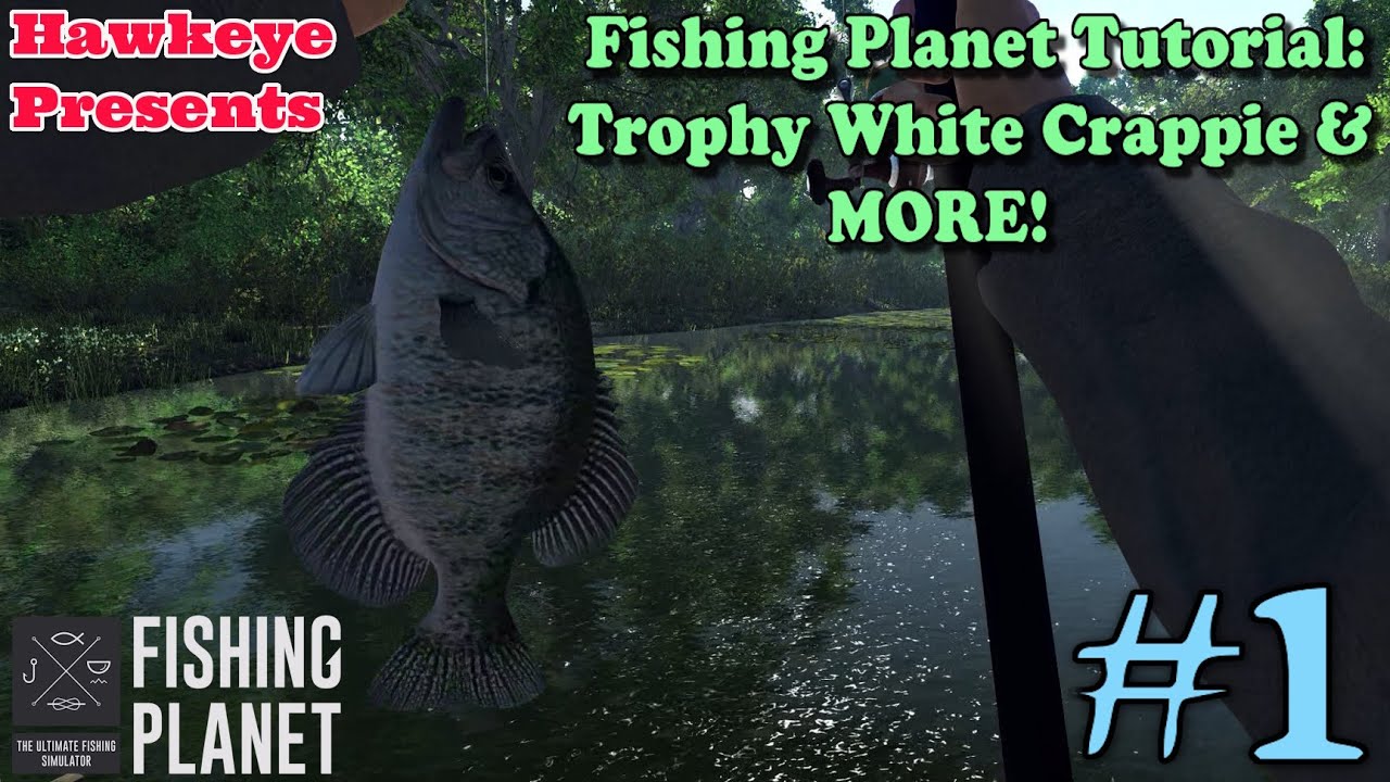 Серия обучающих материалов для начинающих от Fishing Planet: Учебное пособие - Трофейный белый ок...
