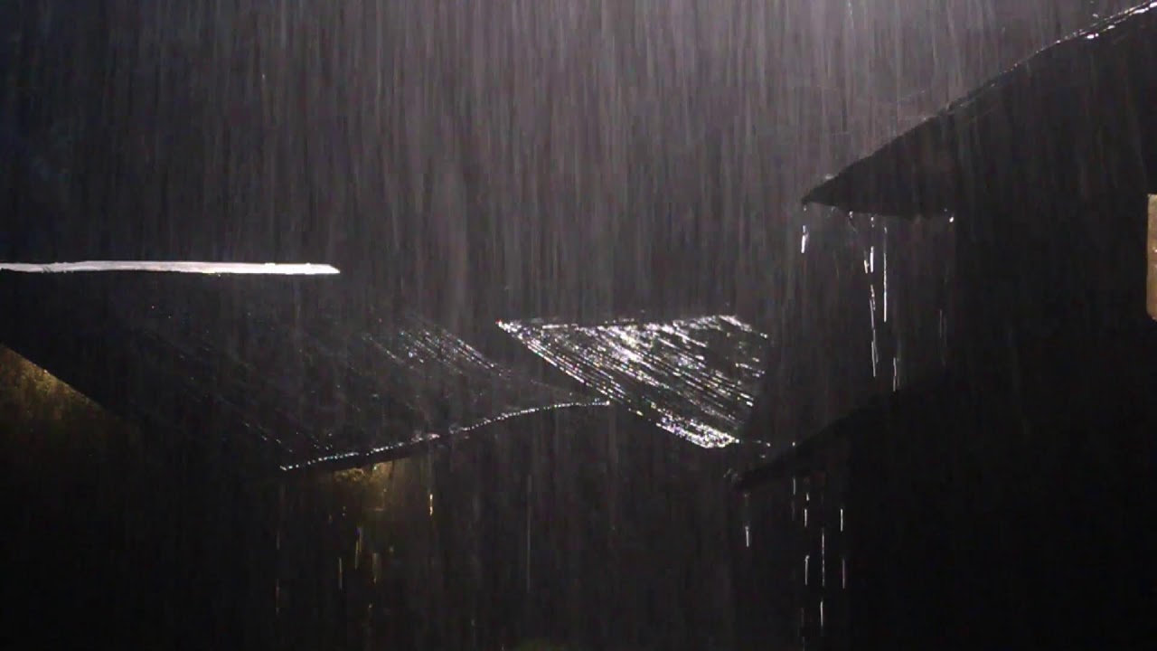 Heavy Rain and Thunder Sounds for Deep Sleeping - Relaxing Thunderstorm Live Stream