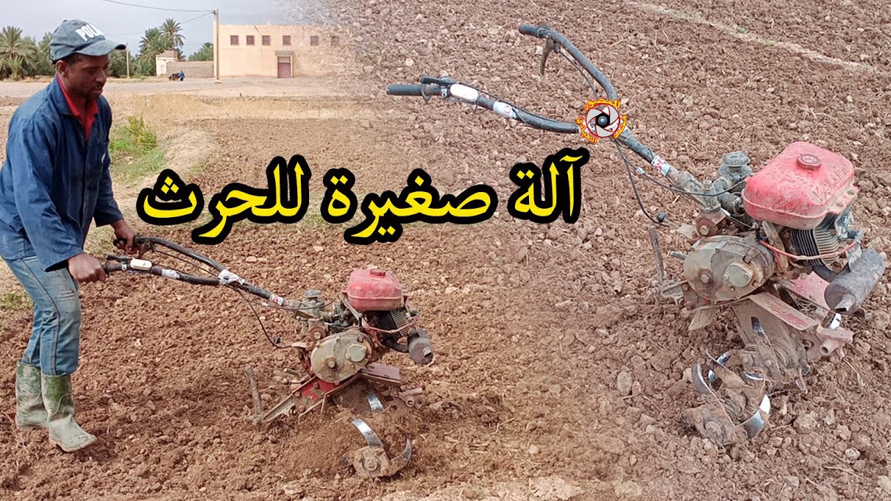 عجيب شاهد هذه الآلة التي يحرث بها هذا الفلاح .. بداية موسم الحرث بعد امطار الخير بواحة تودغى l تنغير