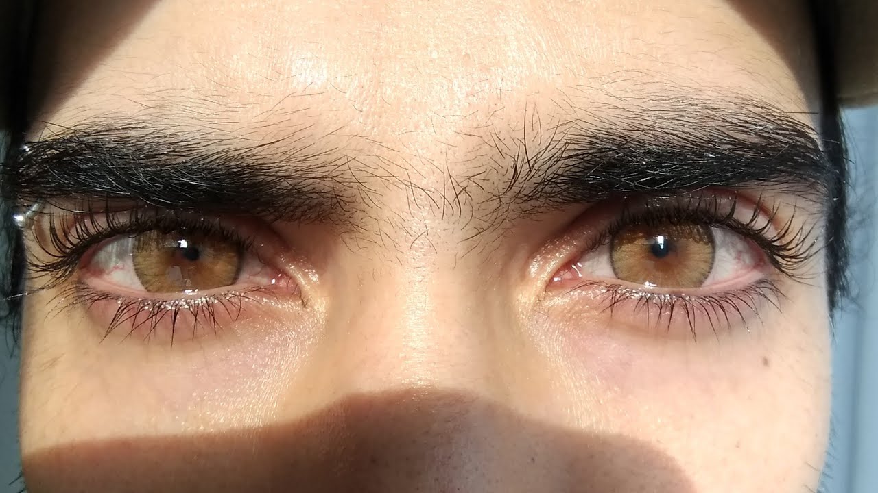 Urban Layer New York N Brown con luz natural y artificial