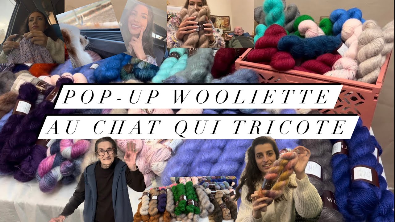 Virée à Aix pour le pop up Wooliette au Chat qui Tricote // journée laineuse #vlogtricot
