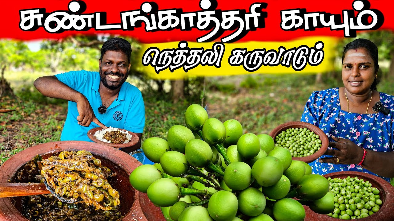 சுண்டங்காயும் நெத்தலி கருவாடும் | Our Village life ♥️ | #villagelife