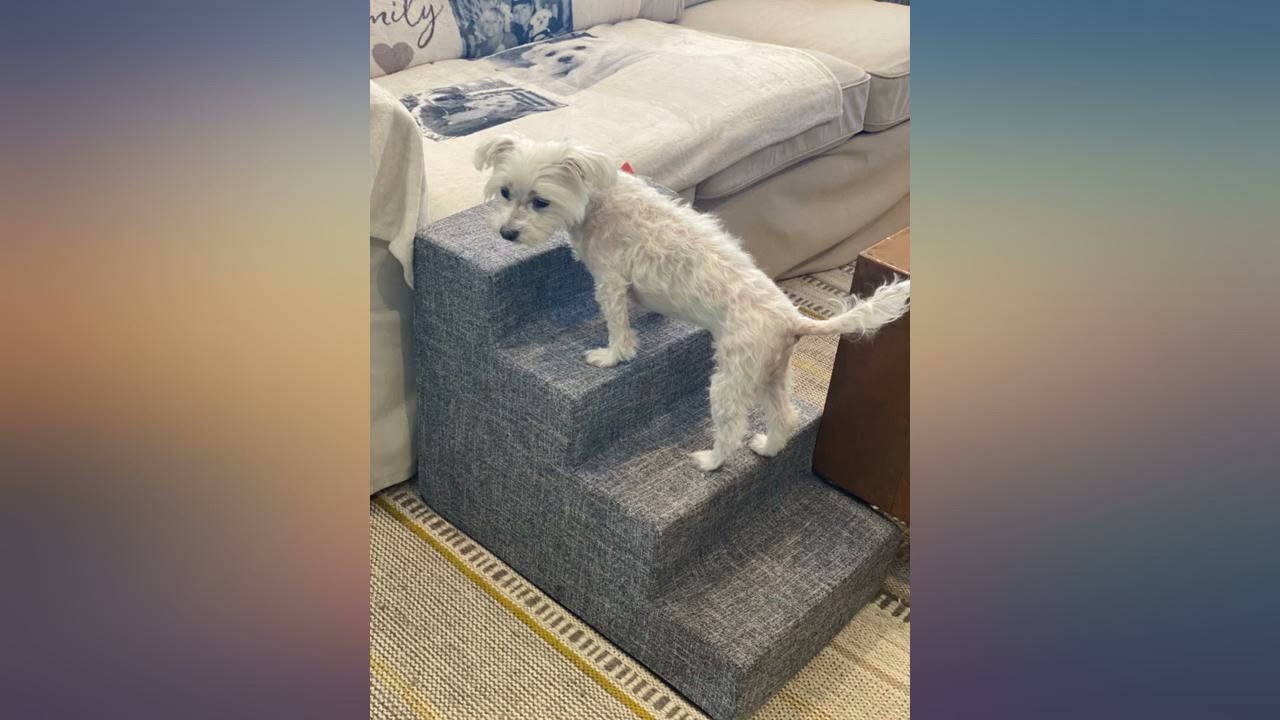 Best Pet Supplies Pet Steps and Stairs with CertiPUR-US Certified Foam for Dogs and review