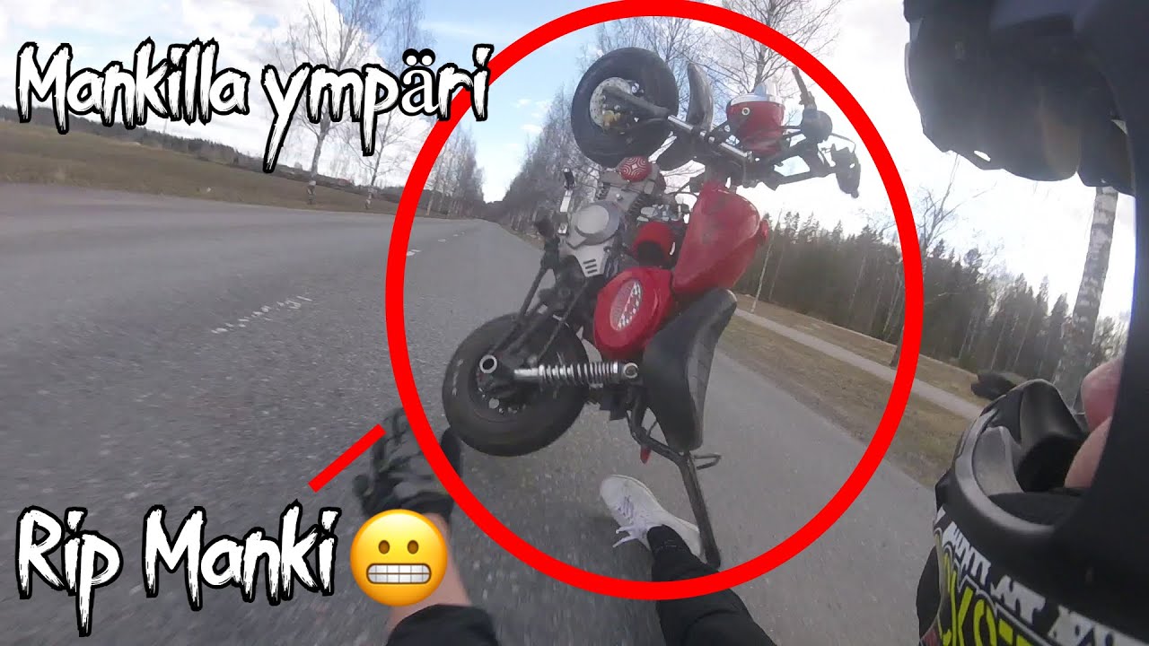 140yx Manki ymp&auml;rikeuliminen | RIP Manki