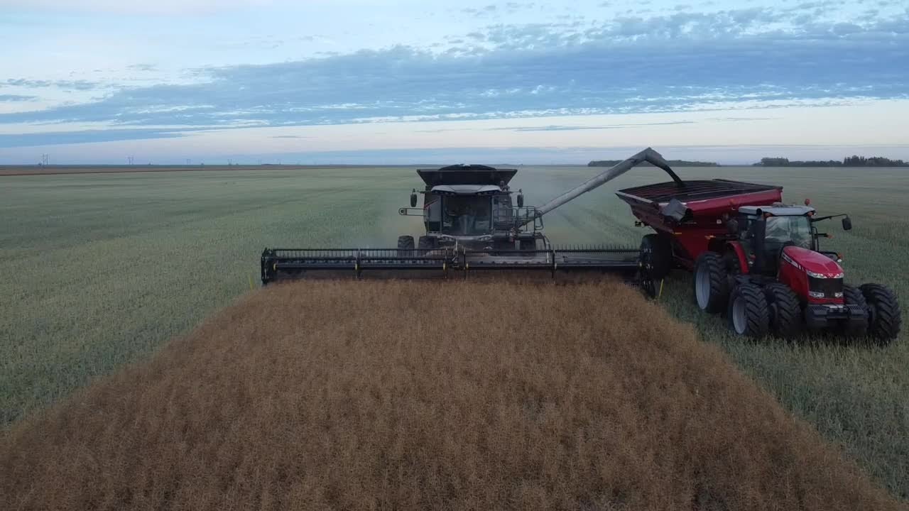 Just in time before soybeans... Gleaner S98 with 40ft honeybee