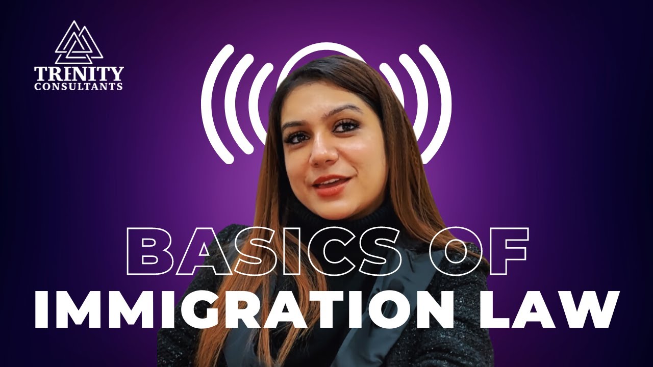 Understanding Immigration Law Made Easy with Trenity Consultants