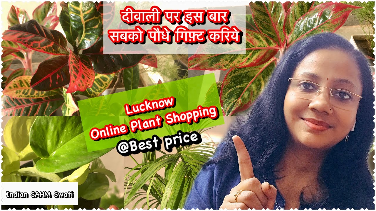 Online plant shopping in Lucknow | Online Nursery Lucknow | lowest price plants shopping in Lucknow