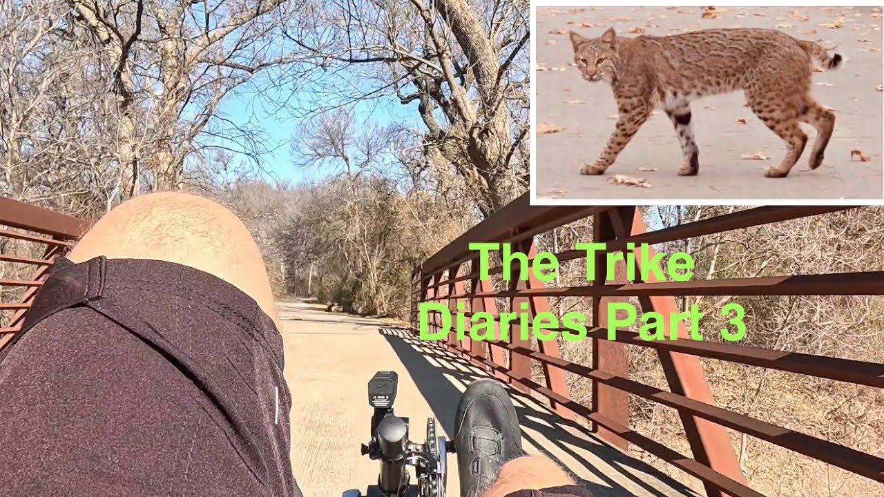 The Trike Diaries Pt. 3 - Riding with a Friend | ICE VTX & ICE Sprint e-Trike Adventure