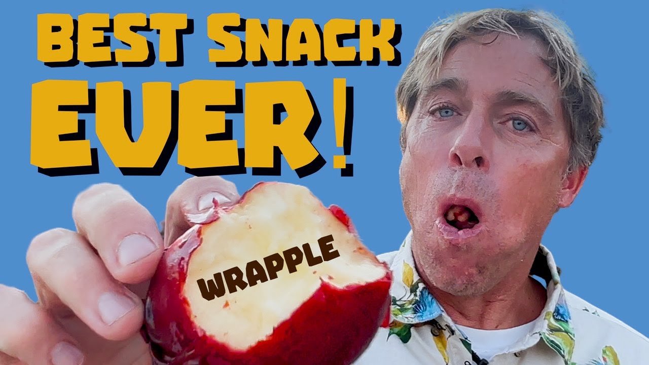 Best Snack Ever | THE WRAPPLE by Dave England