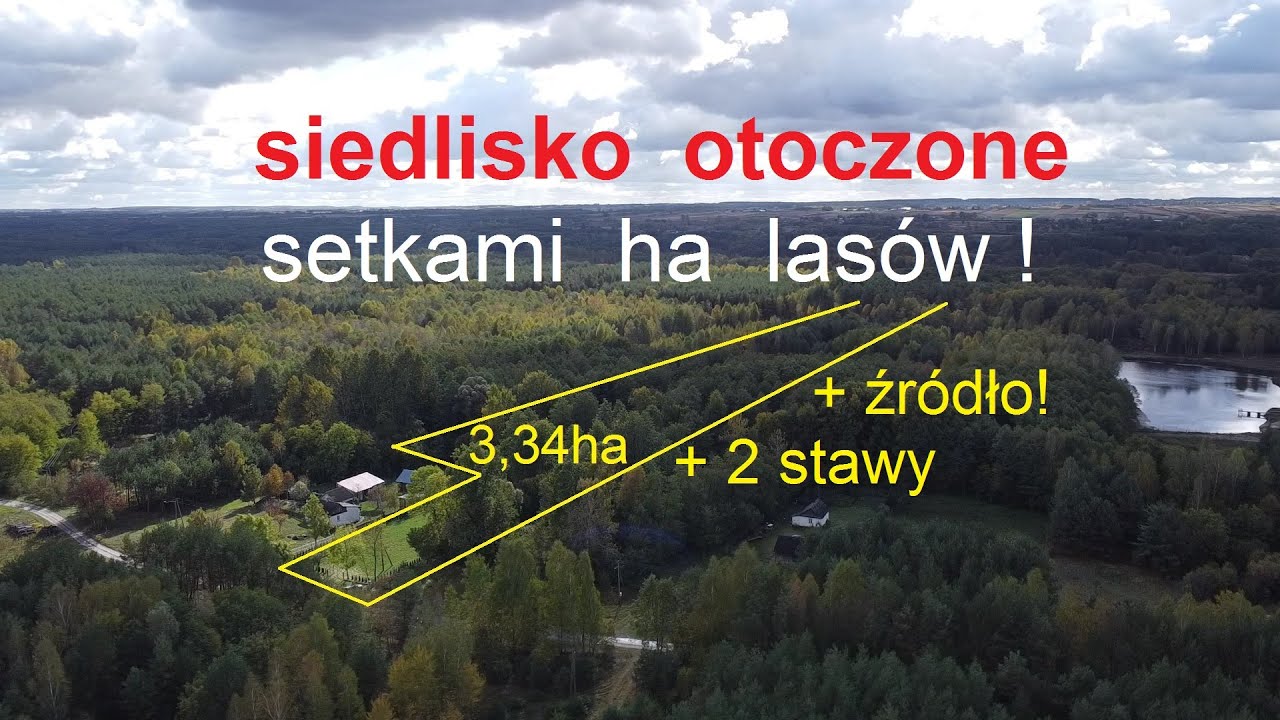siedlisko w lesie ze źródełkiem i 2 stawami - Opole Lubelskie