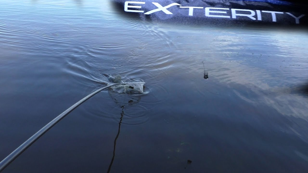 Фидер на Днепре летом. Киев. Exterity 13.5 до 150 грамм. 