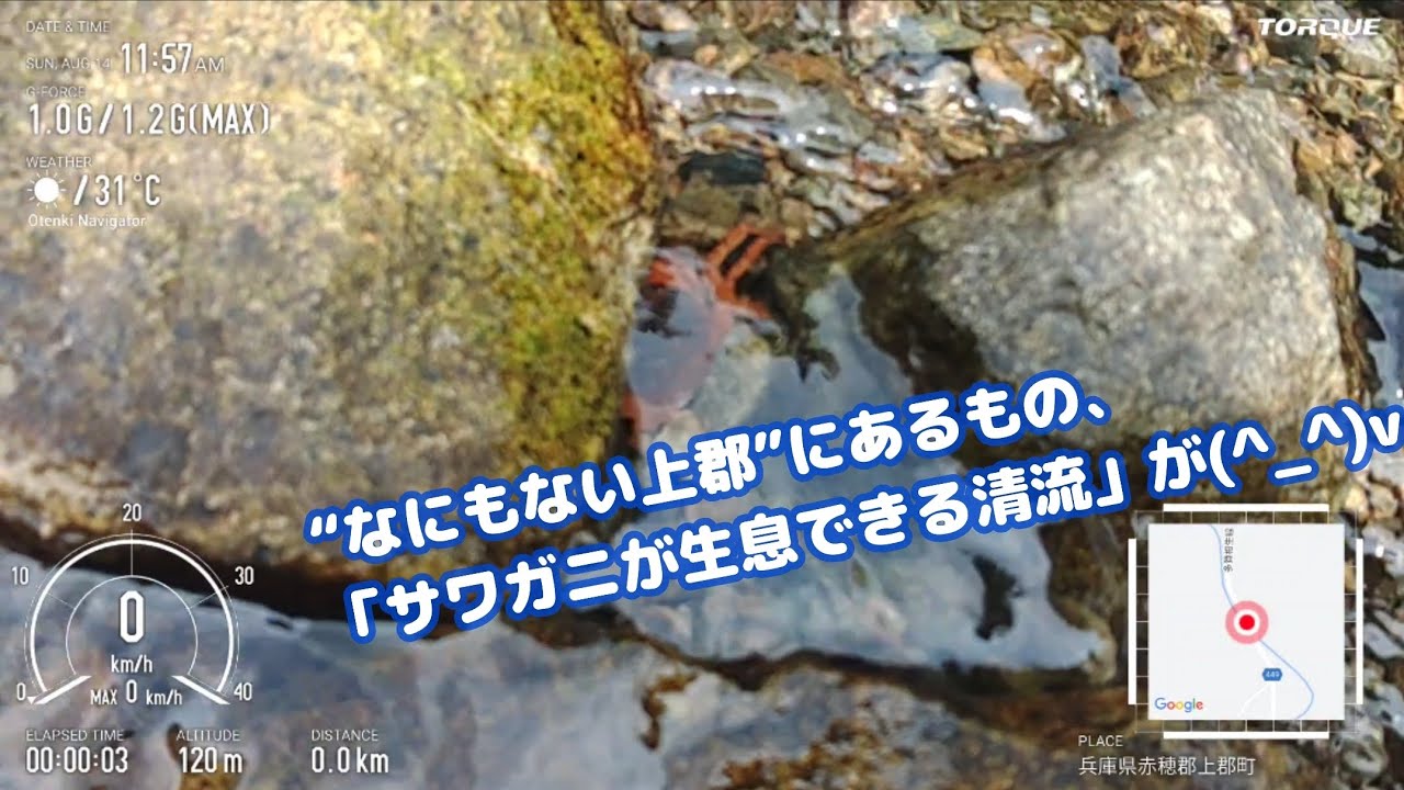 『&rdquo;サワガニが生息できる清流&rdquo;&larr;何もない上郡と言われる町にあるものです。』(2022/08)