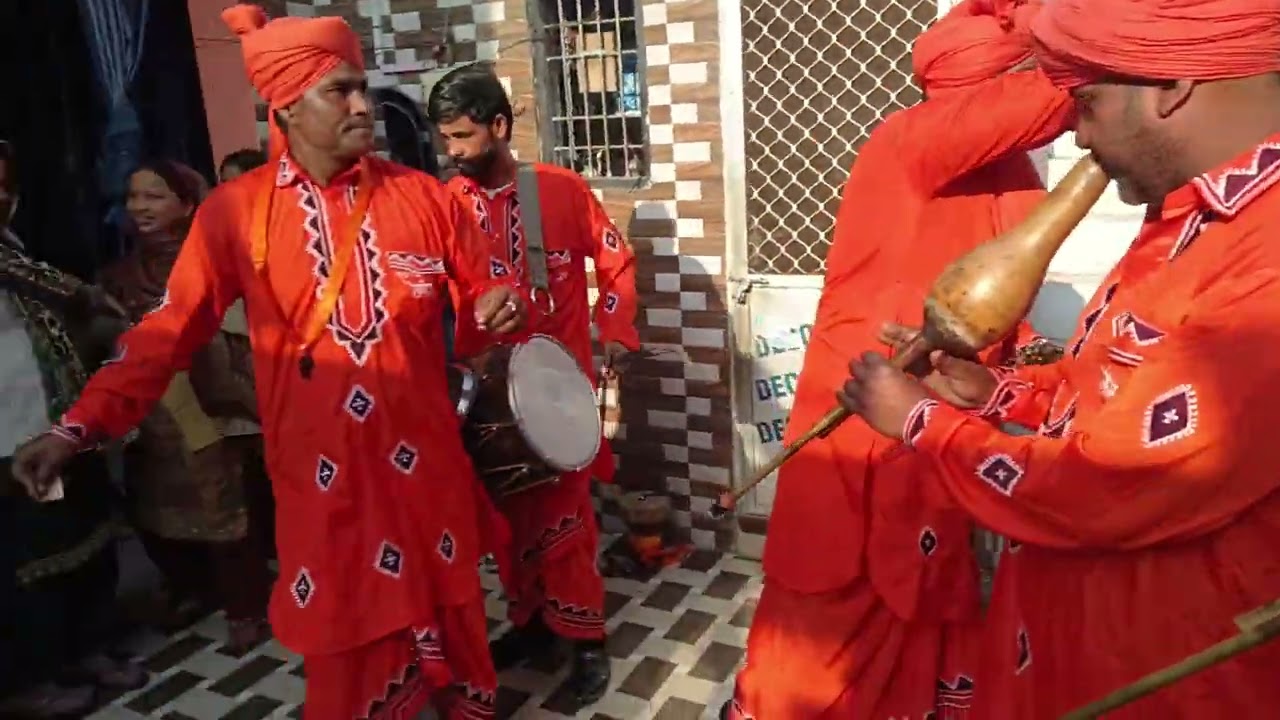 सुनील नाथ सपेरा नागिन बीन पार्टी 9456 452312