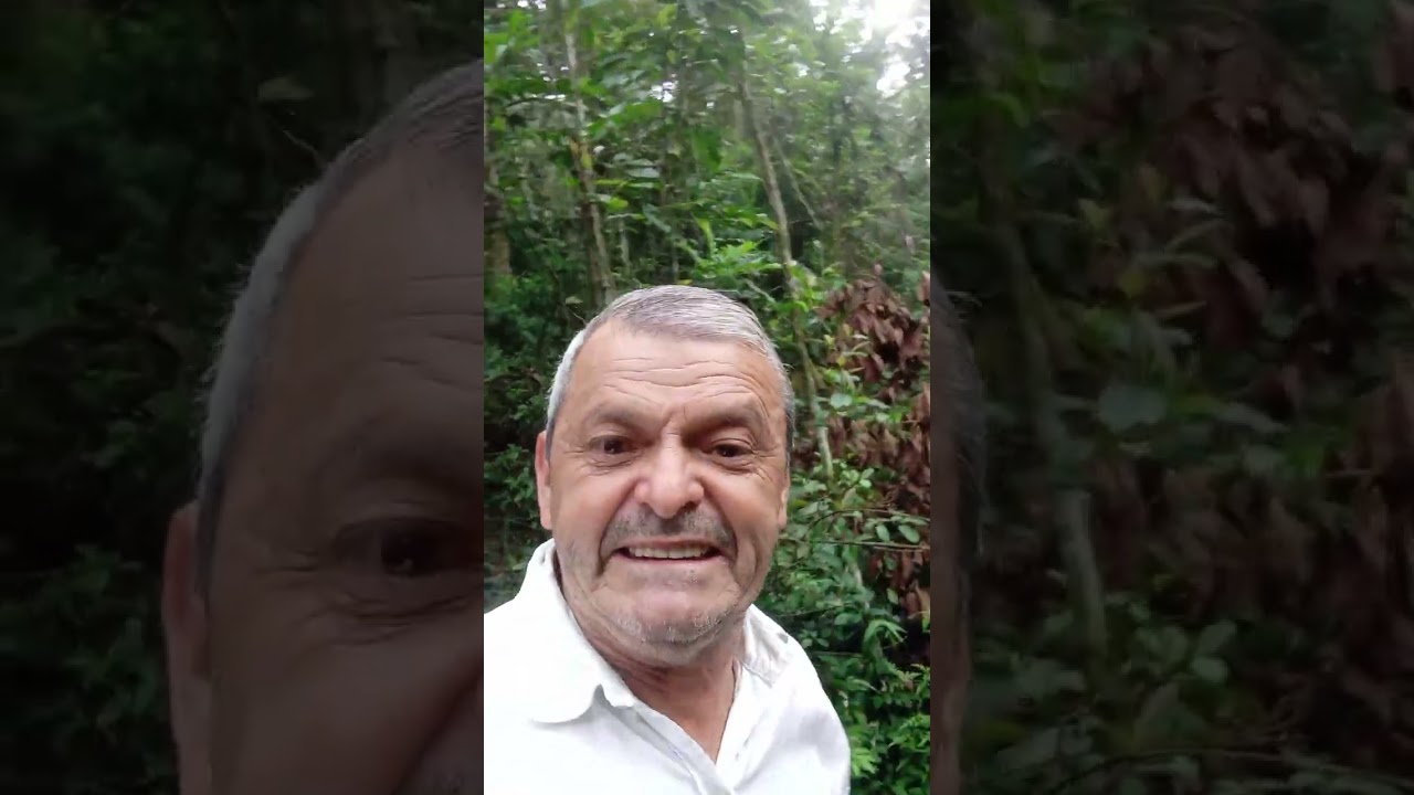 3 de março de 2026