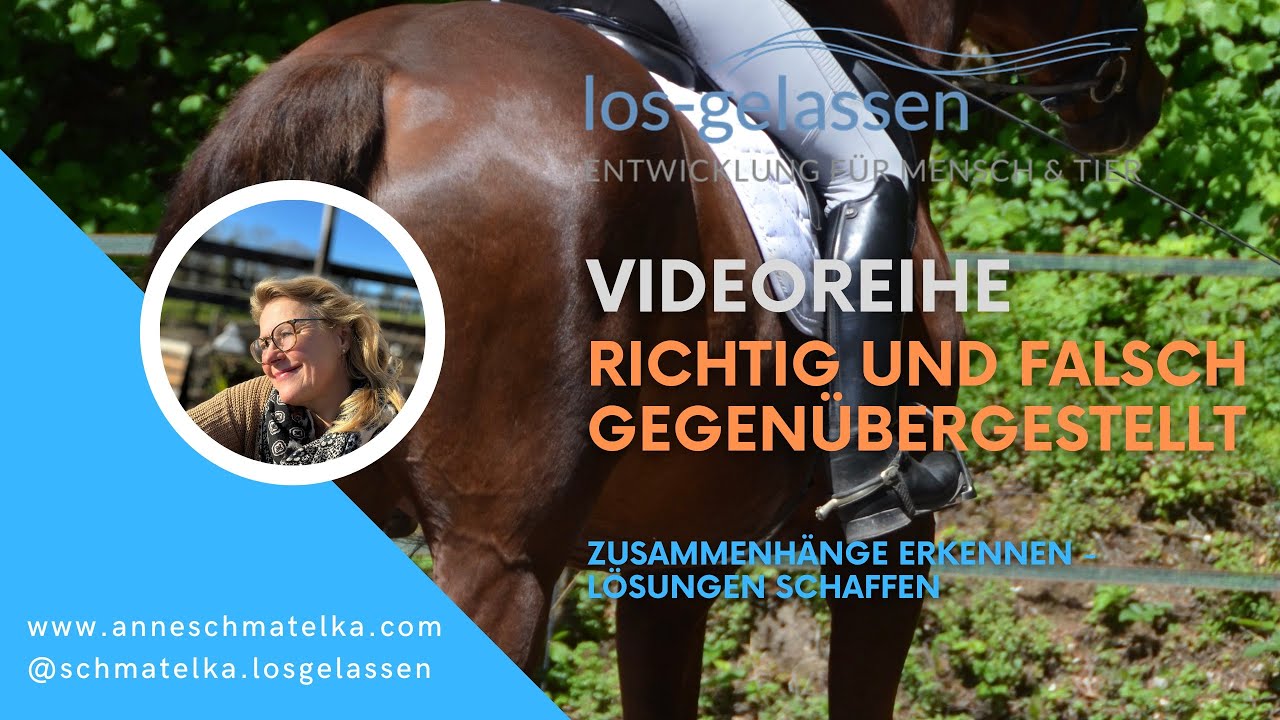Richtig und falsch gegen&uuml;bergestellt | Sitzkorrektur mal anders!