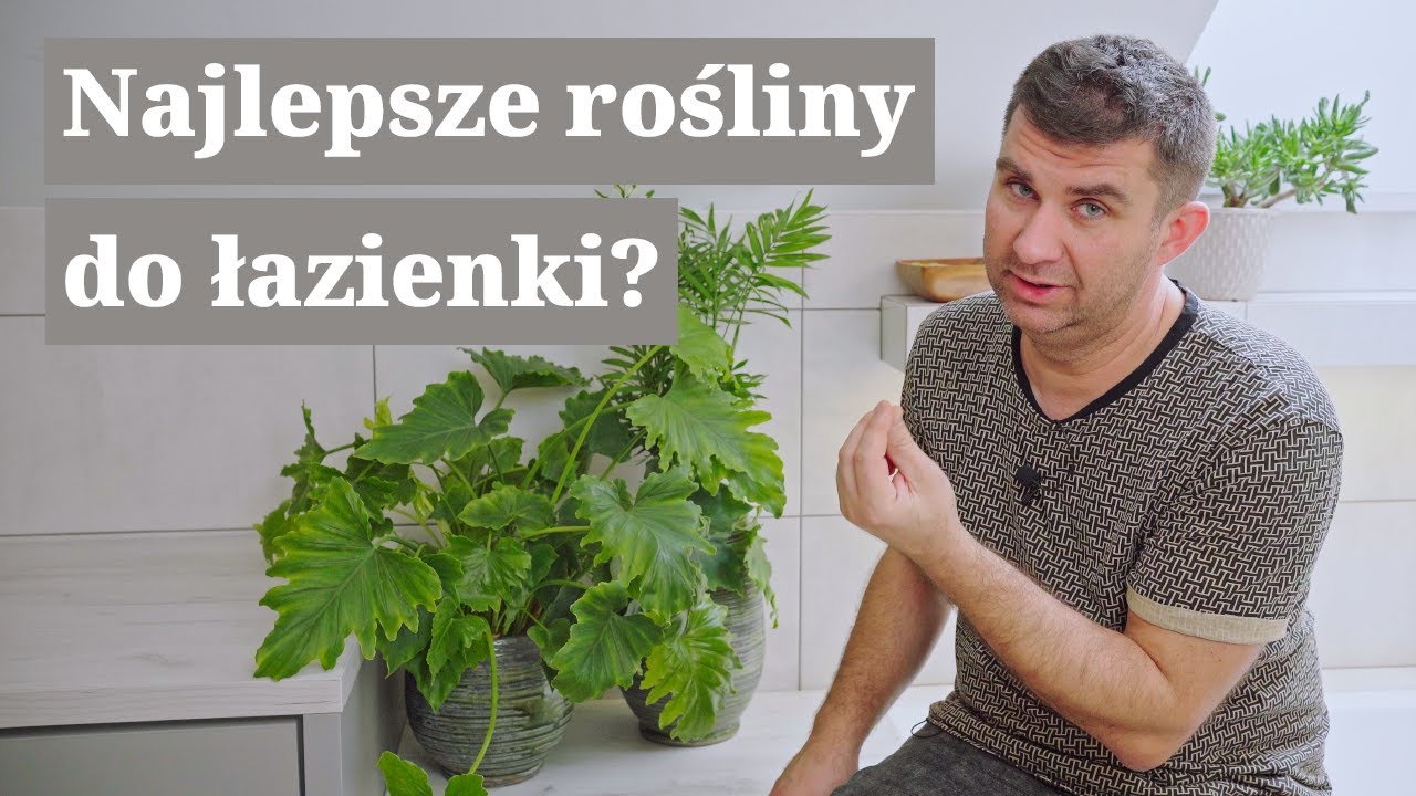 Łazienka - doskonałe rośliny i najlepsze rozwiązania. Storczyk w łazience.