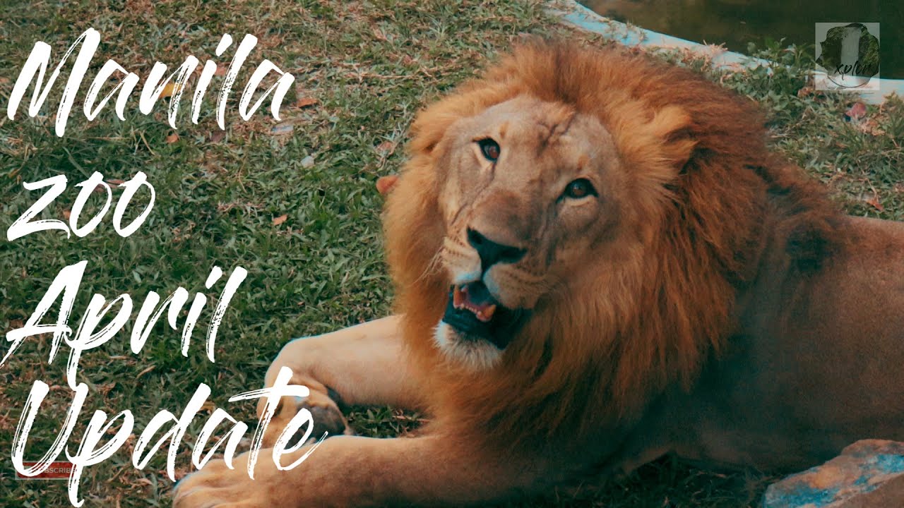 MANILA ZOO UPDATE APRIL 4, 2022