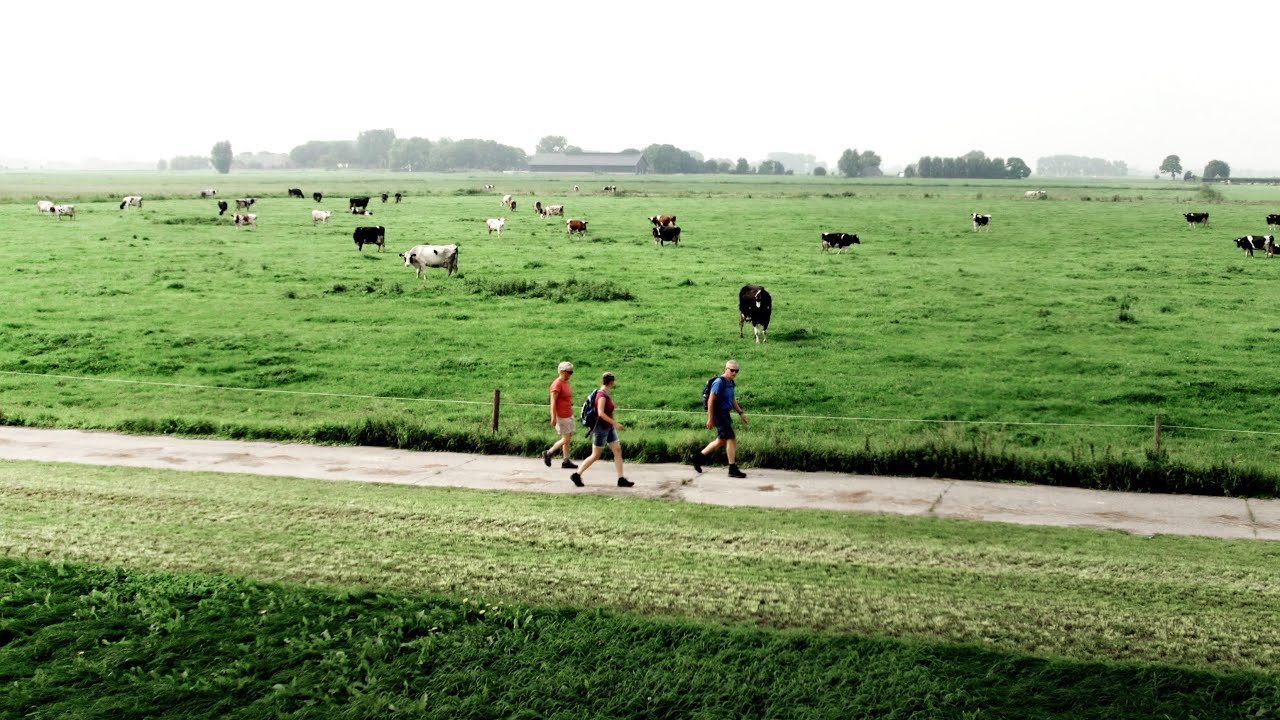 Weidseland Wandeltocht - Sportrecreade Ten Boer