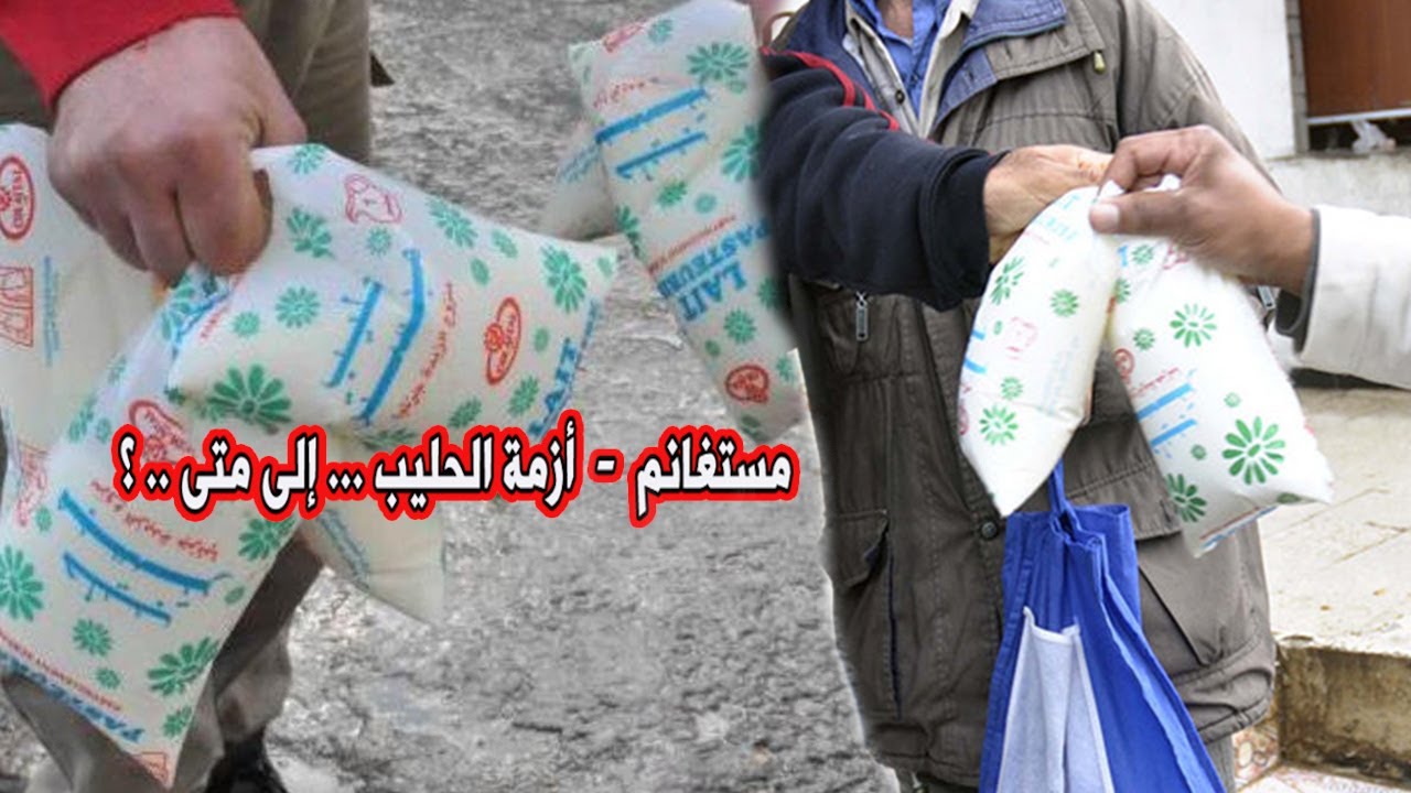 مستغانم  -  أزمة الحليب ... إلى متى .. ؟