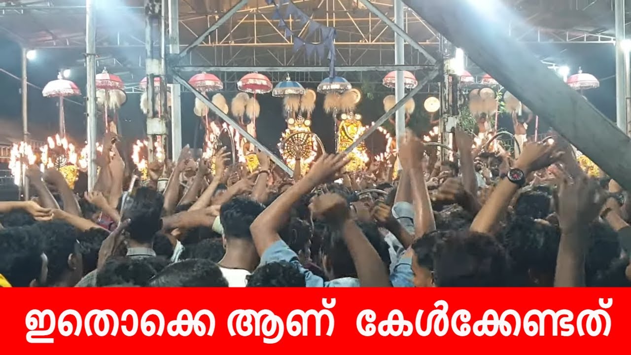 മേളം കേട്ട് ആനവരെ തുള്ളി | Thuravoor deepavali utsavam 2023 | thuravoor temple
