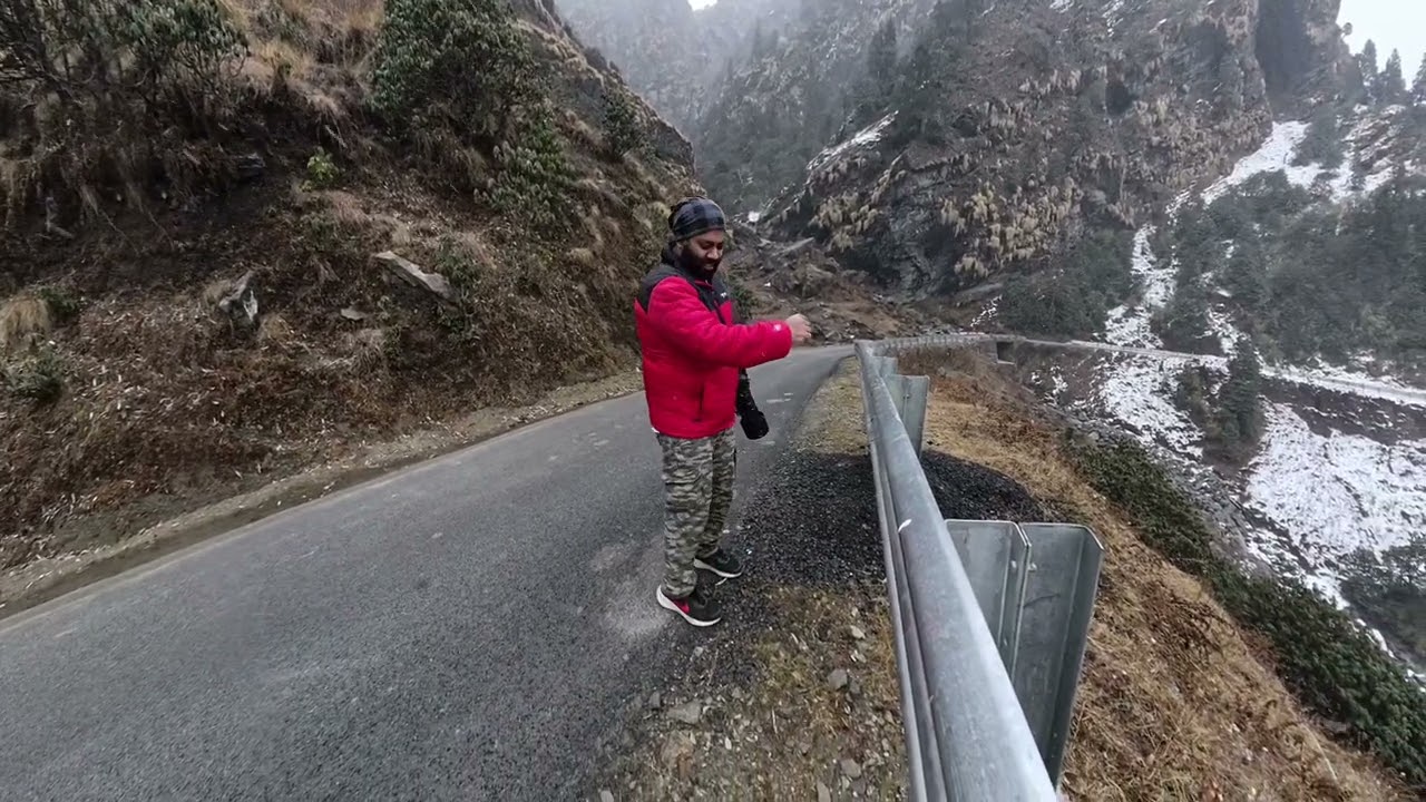 In search of Monals