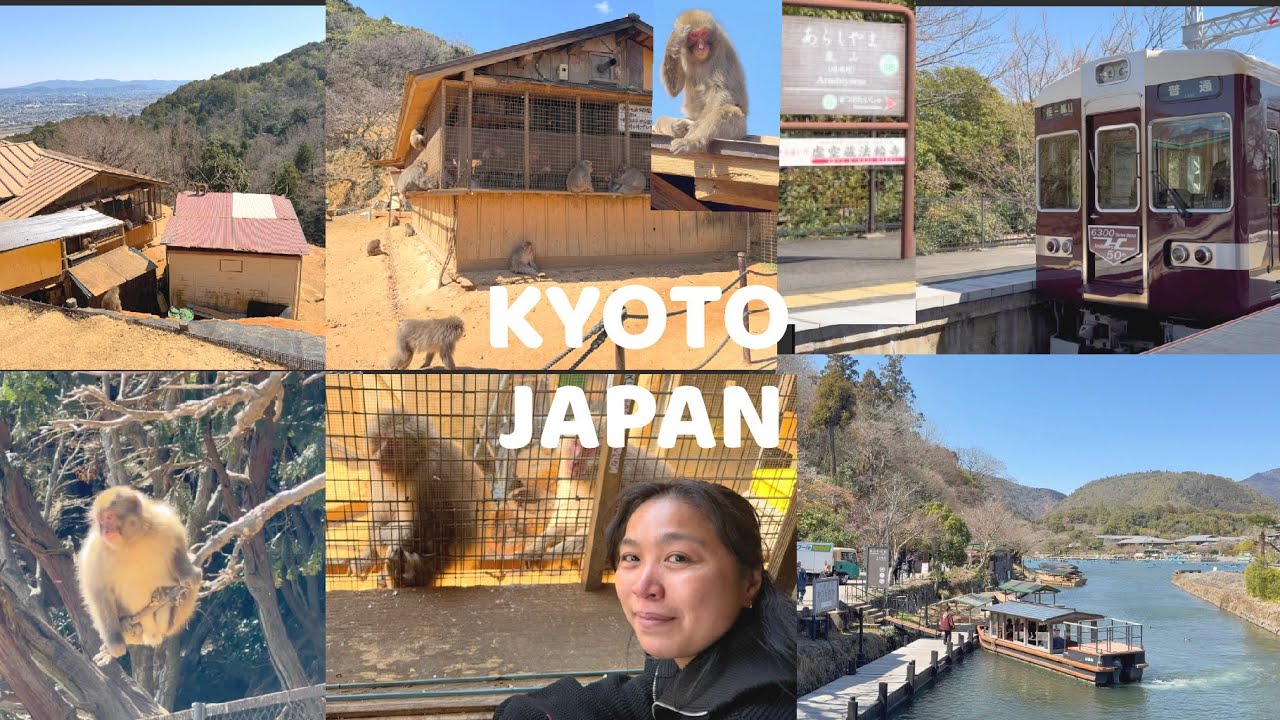 PINAY sa JAPAN | Monkey Park Sa JAPAN + Arashiyama station #kyotojapan #moneyparkkyoto #arashiyama  
